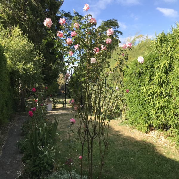 Offres de vente Maison Le Mesnil-Saint-Denis 78320